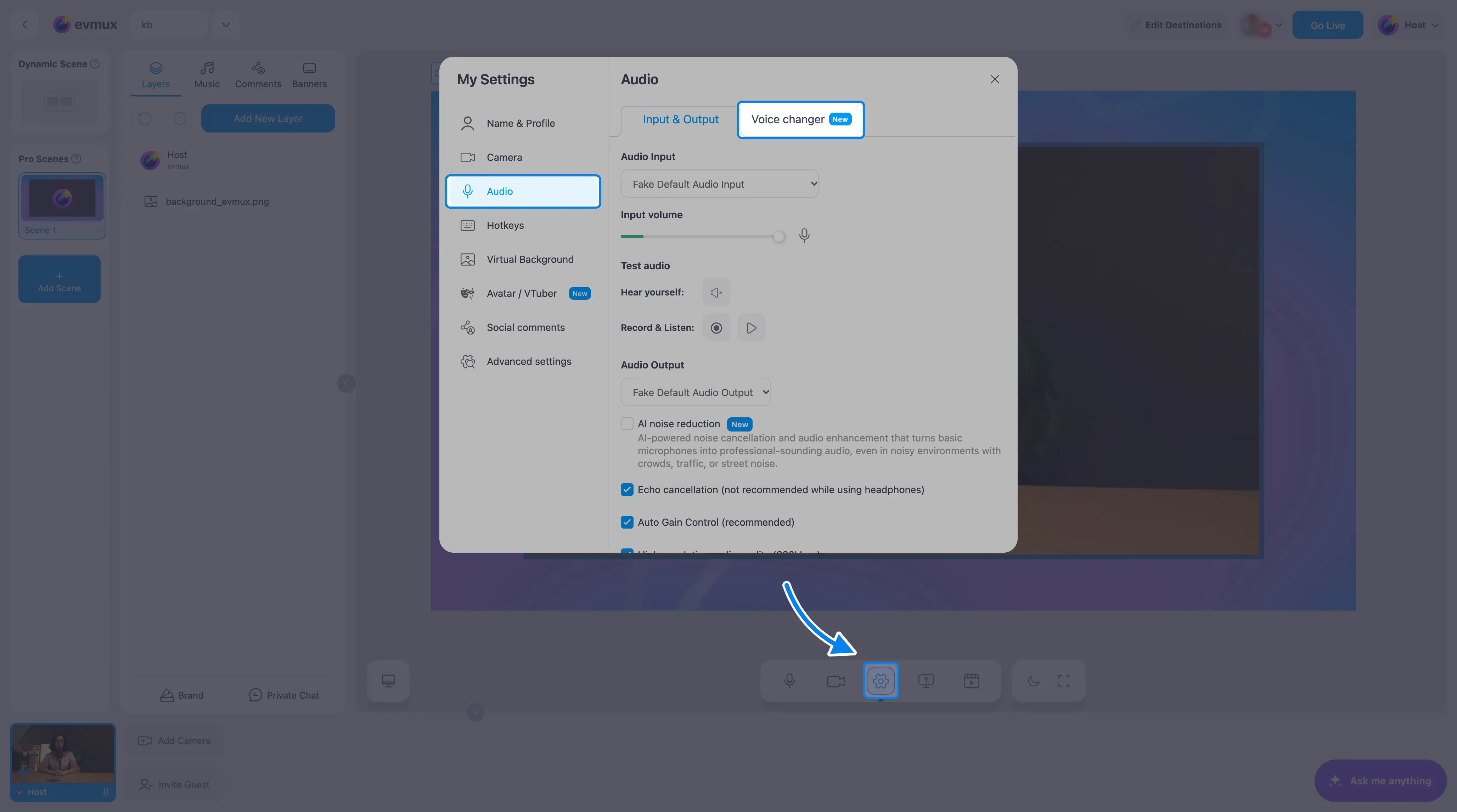 The Settings gear, the Audio section and the Voice changer tab, highlighted