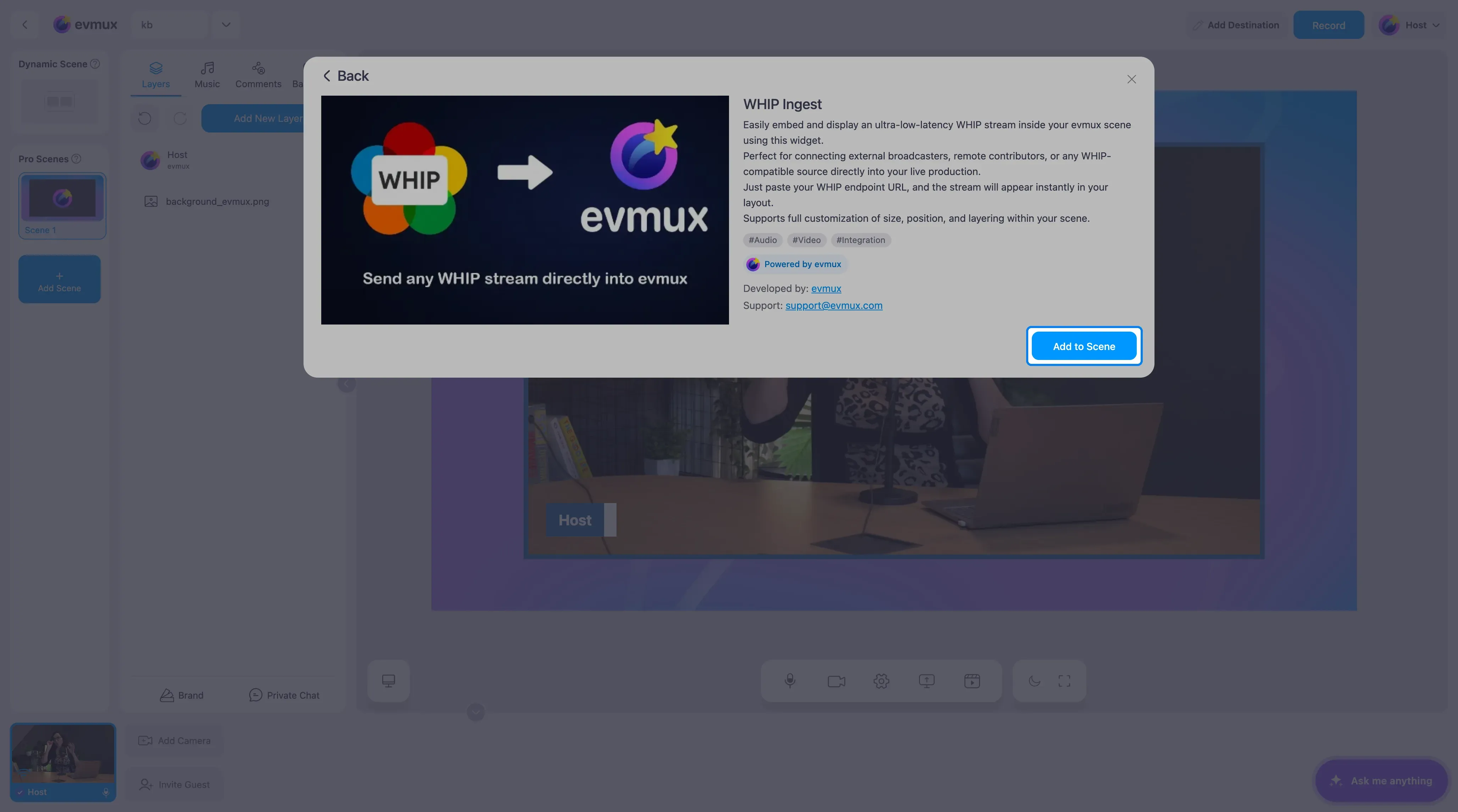 The WHIP Ingest app page with the Add to Scene button highlighted